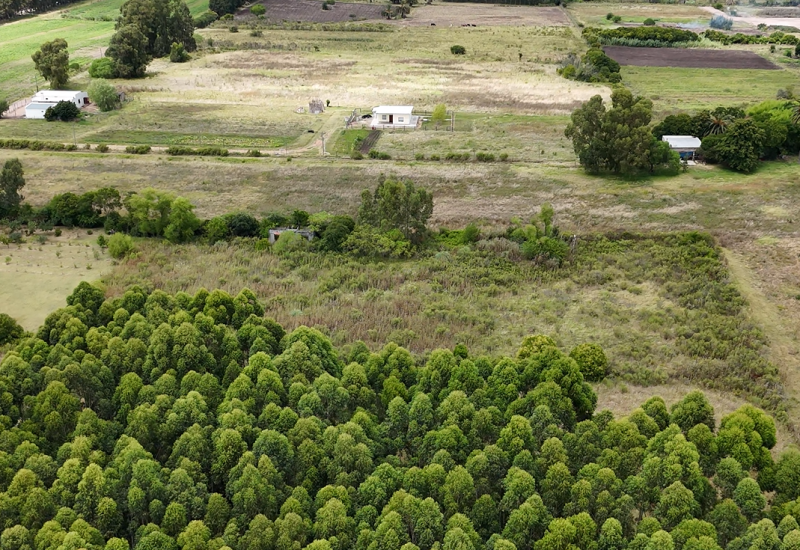 Captura de pantalla 2025-01-24 113235