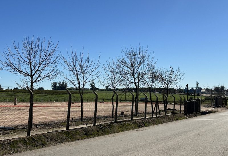 venta padron 9,2ha en bajo de la petisa