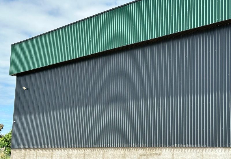 WhatsApp Image 2025-10-31 at 10.30.41 AM (1)