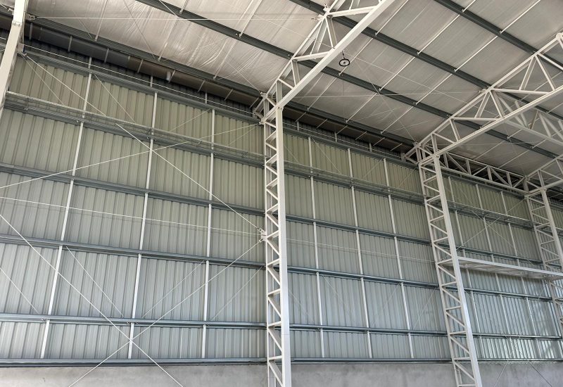 WhatsApp Image 2025-10-31 at 10.30.41 AM (3)