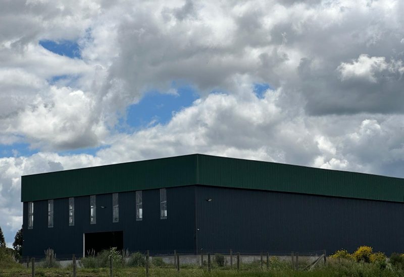 WhatsApp Image 2025-10-31 at 12.00.23 PM (2)